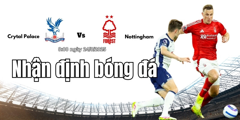 Chiến thuật thi đấu của hai đội bóng