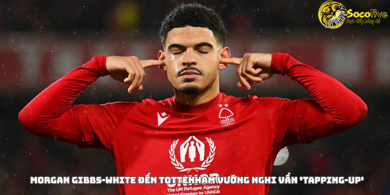 Morgan Gibbs-White Đến Tottenham Vướng Nghi Vấn 'Tapping-up'
