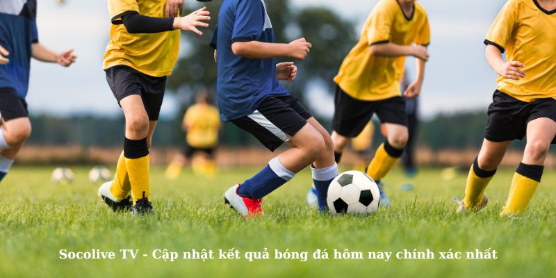 Cập nhật kết quả bóng đá chính xác mỗi ngày