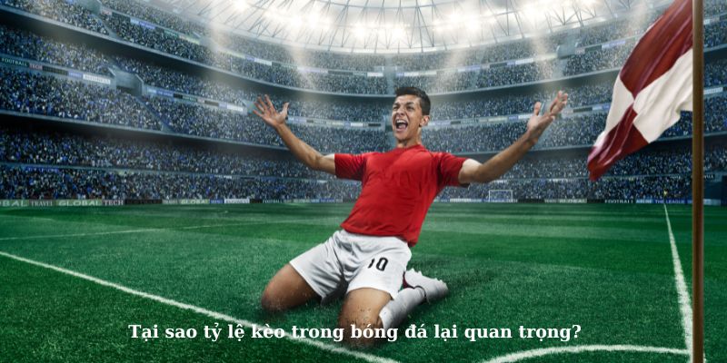 Tìm hiểu về tỷ lệ kèo bóng đá tại Socolive TV