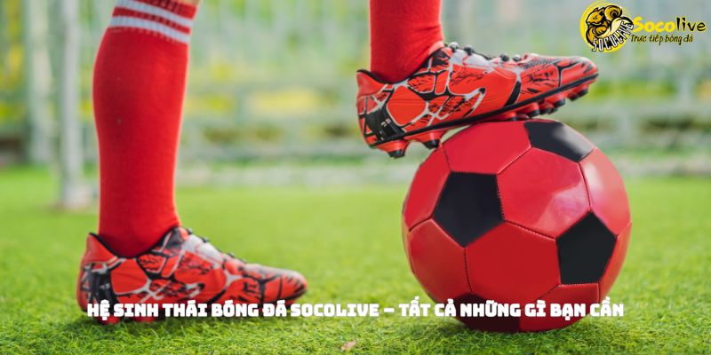Hệ sinh thái bóng đá Socolive - tất cả những gì bạn cần