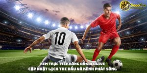 Xem Trực Tiếp Bóng Đá Socolive